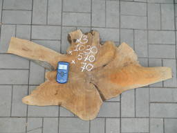 Сліб горіха