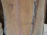 Слэбы из дерева Тополь каповый и Берест-эксклюзивные спилы