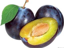 Слива замороженная, б/к(половинка)