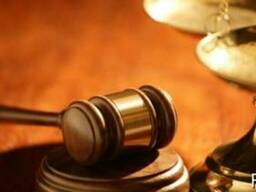 Регистрация торговой марки (ТМ) от 1000 грн