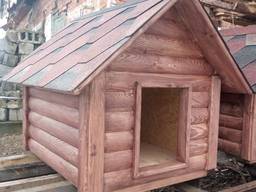 Собачья будка