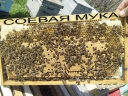 Соевая мука и белкововитаминная добавка для подкормки пчел