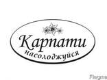 Соки, морси, напої, сиропи, плодоовочева консервація - фото 1