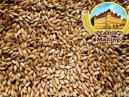 Солод для виски Castle Malting (Бельгия)