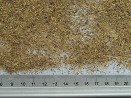 Солодка корінь. Лакриця. Лакрица. Licorice Roots