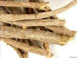 Солодка корінь. Лакриця. Лакрица. Licorice Roots - фото 1