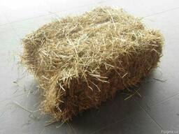 Солома пшеничная в тюках