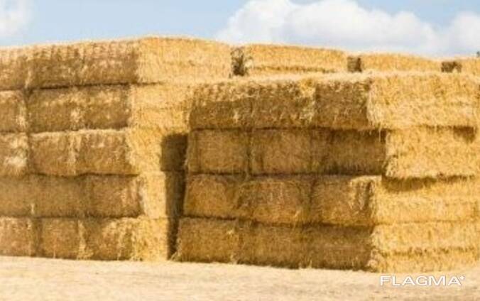 Солома в тюках (пшенична, ячмінна)