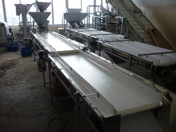 Инспекционные транспортёры для грецкого ореха