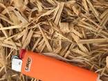 Соснова стружка і тирса - фото 1