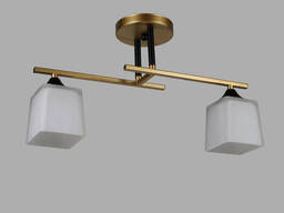 Современная люстра на 2 плафона Sirius (1996181/2)