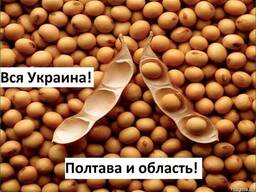 Куплю Сою Полтава Украина