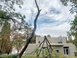 Спил дерева, покос травы , расчистка участков вывоз мусора О