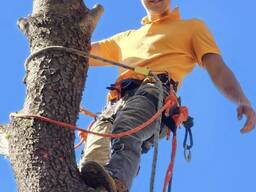 Спил деревьев, чистка участков, покос травы!!!