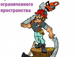 Спил деревьев, расчистка участков! Цены 2013 года!