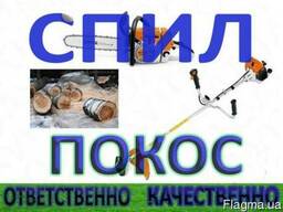 Обрезать дерево Полтава, спил деревьев в Полтаве