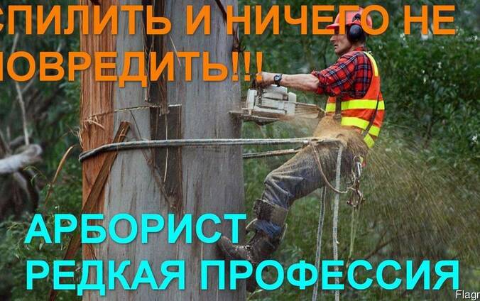 Спилим деревья в Одессе и Области