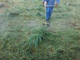 Покос травы. Косим траву. Уборка участко. выкорчуем деревья.