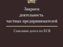 Ликвидация Флп, Фоп, Спд, Чп, Закрытие Флп, Фоп, Спд, Чп (недорого)