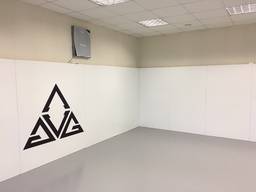 Ковер для борьбы (покрытие) 6м х 6м, однотонный