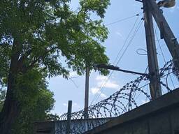 Спилить деревья