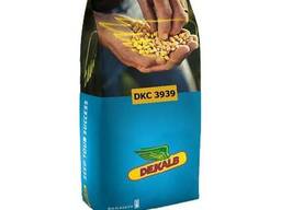 Семена кукурузы ДКС 4014 ФАО 310