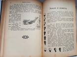 Старинная книга 1912г. Бичер-Стоу "Дрэд" и Карл Эвальд ", Сказки природы" - фото 10