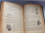 Старинная книга 1912г. Бичер-Стоу "Дрэд" и Карл Эвальд ", Сказки природы" - фото 11