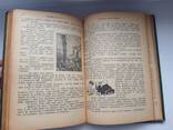 Старинная книга 1912г. Бичер-Стоу "Дрэд" и Карл Эвальд ", Сказки природы" - фото 13