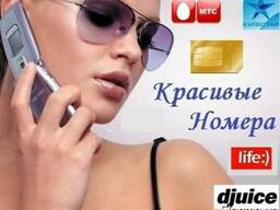 Стартовые пакеты киевстар. Коммерческие Опт и мелкий опт