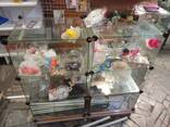 В связи с срочным закрытием магазина распродаю дешево оборудование: Витрины стеклянные "К - фото 2