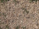 Столбики Б/У/столбы чернозем СЫПЕЦ песок щебень отсев Галька глина керамзит - фото 9