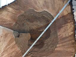 Стовбур горіха