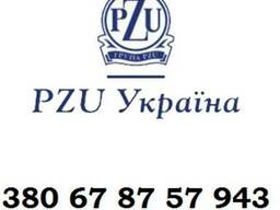 Страховка PZU для рабочей визы. Заполнение анкеты