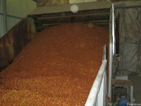Сухая яблочная выжимка, apple pomace, сушеный яблочный жмых