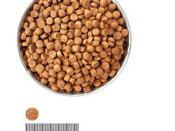 Сухой корм для кошек с лососем «Экко-гранула» 10кг