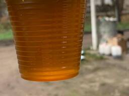 UCO Using Cooking oil