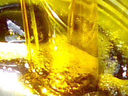 Sunflower oil flexitank
