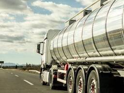 Sunflower oil / seeds