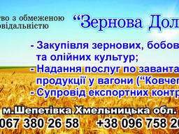 Супровід експорту