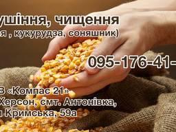 Сушіння (сої, кукурудзи, соняшнику)