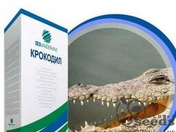 Семена свеклы сахарной "Коркодил", (драже) Sesvanderhave