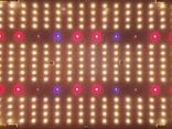 Светодиодные светильники для растений Samsung 281 Quantum Board, Mars Hydro - фото 13