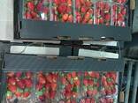 Свежая клубника Fresh Strawberry - фото 2
