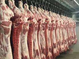 Мясо свинины