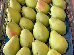 Свіжі овочі та фрукти