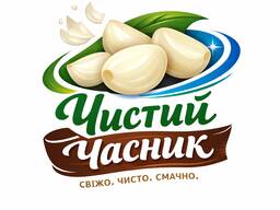 Свіжоочищений / чищений часник (Машинна чистка)