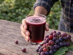 Свіжий виноградний сік - без цукру і консервантів