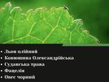 Сидерати-Суміші насіння однорічних трав (мікс)- Покривні культури- Добрива - фото 3