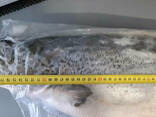 Сёмга с/м 5-6кг - фото 3
